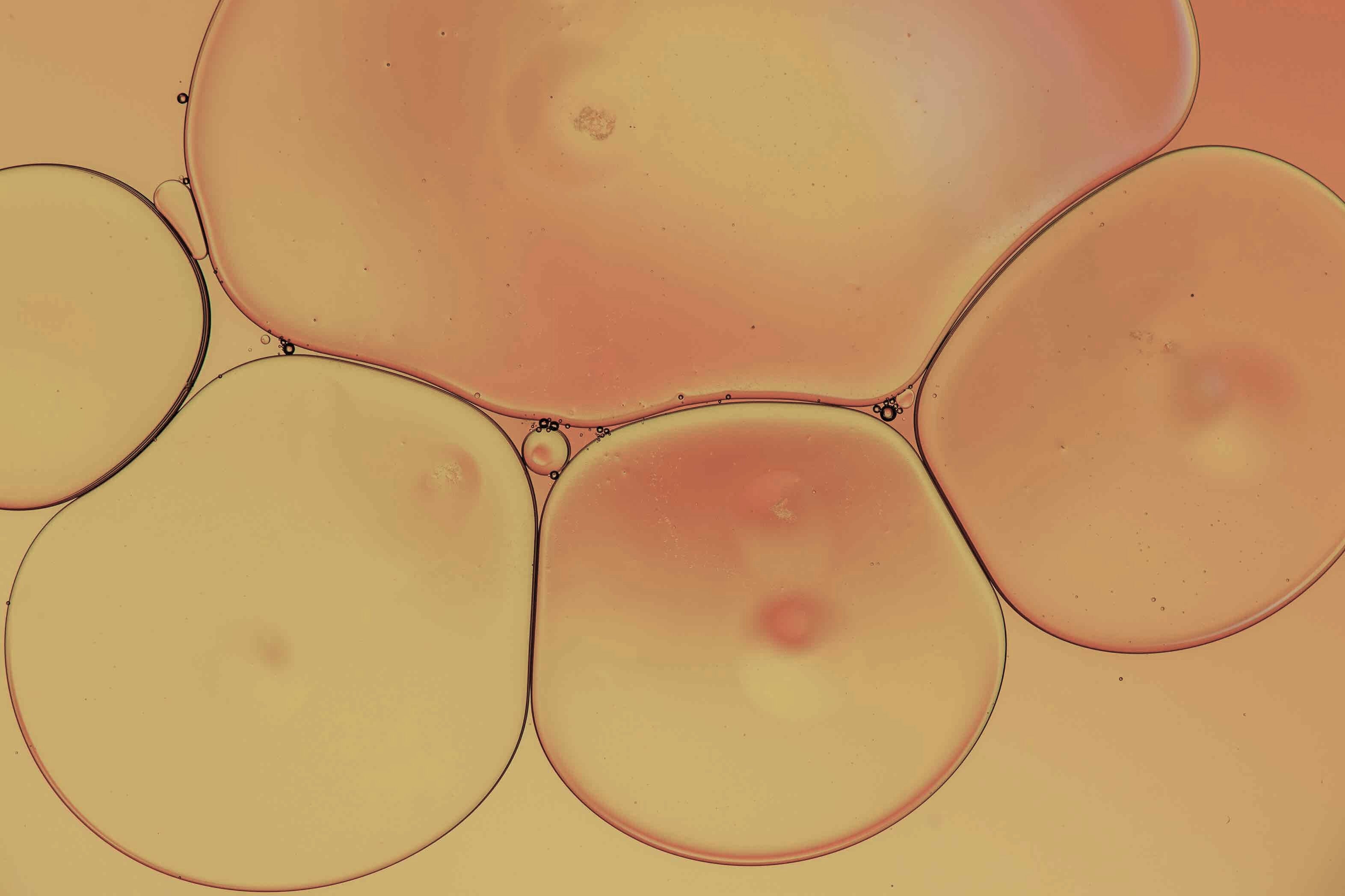 Omega 3 Oil Drops